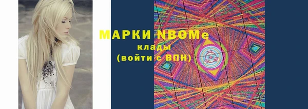 мет Алексин