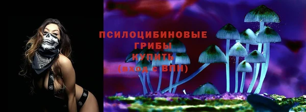 каннабис Алексеевка