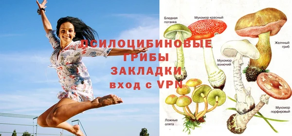 мет Алексин