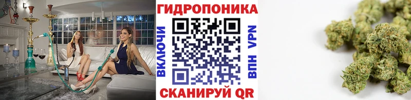 Конопля AK-47  Карачаевск 